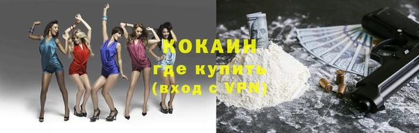 винт Алзамай