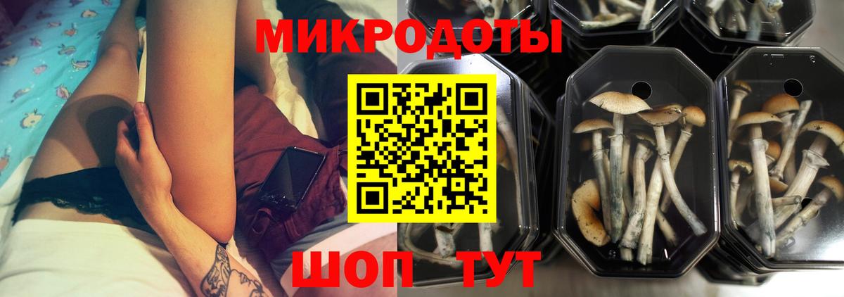 Галлюциногенные грибы Psilocybine cubensis Искитим